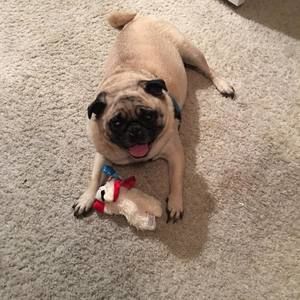 Meet your Posher, Beth